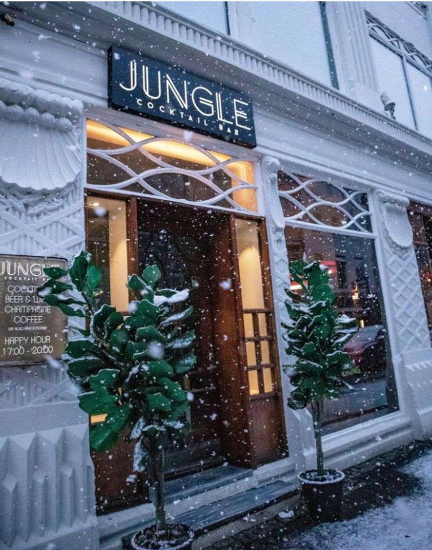 Jungle Cocktail Bar