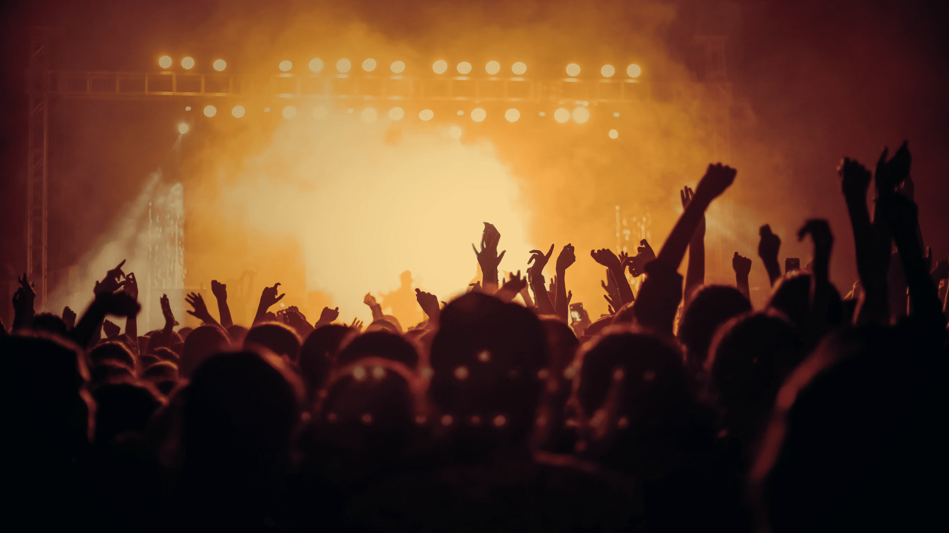 Tours & Live Shows