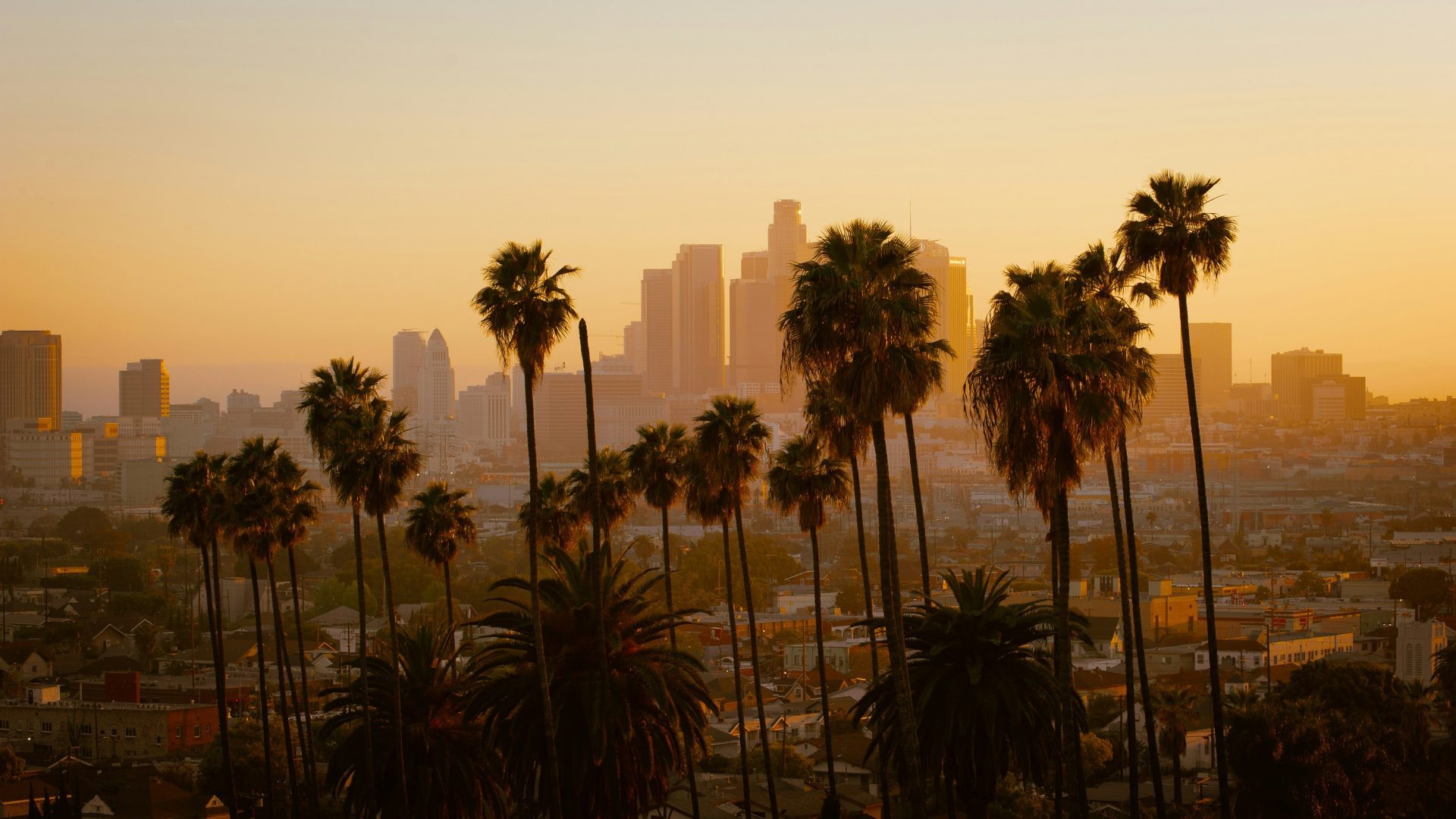 Crewfare Travel